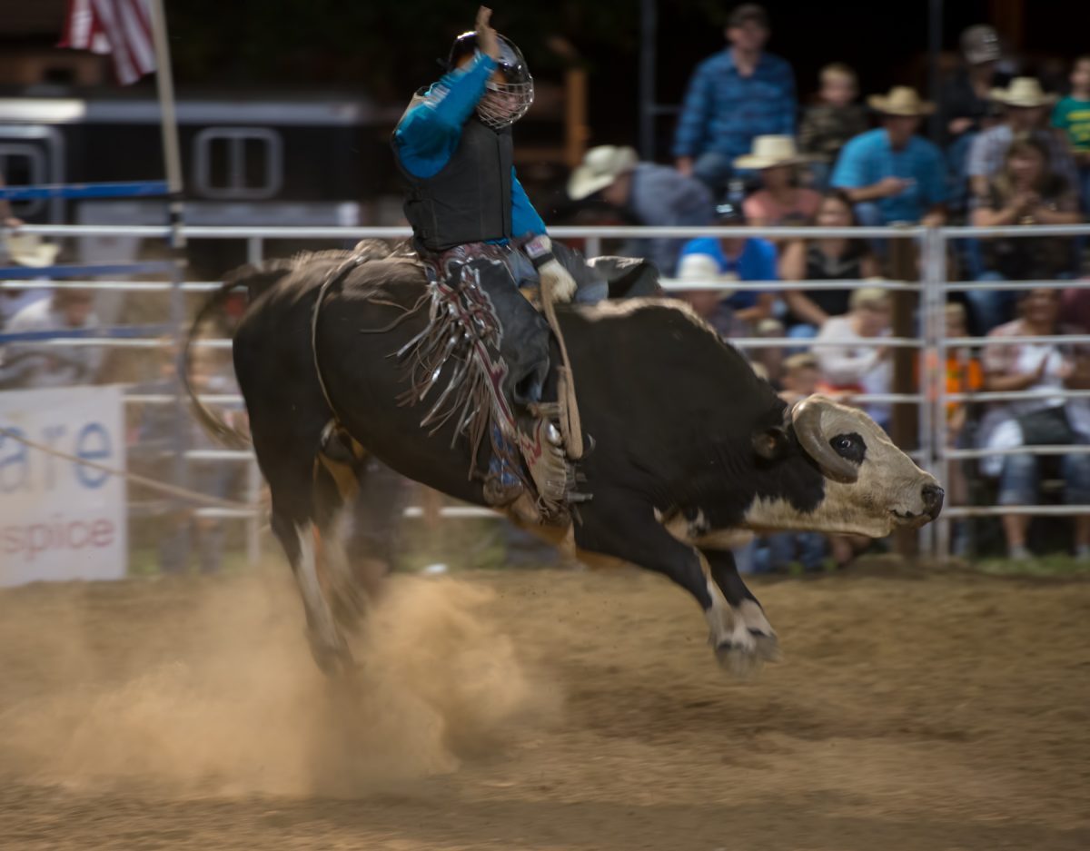 Chamber 2020 Rodeo Cancelled The Holden Image
