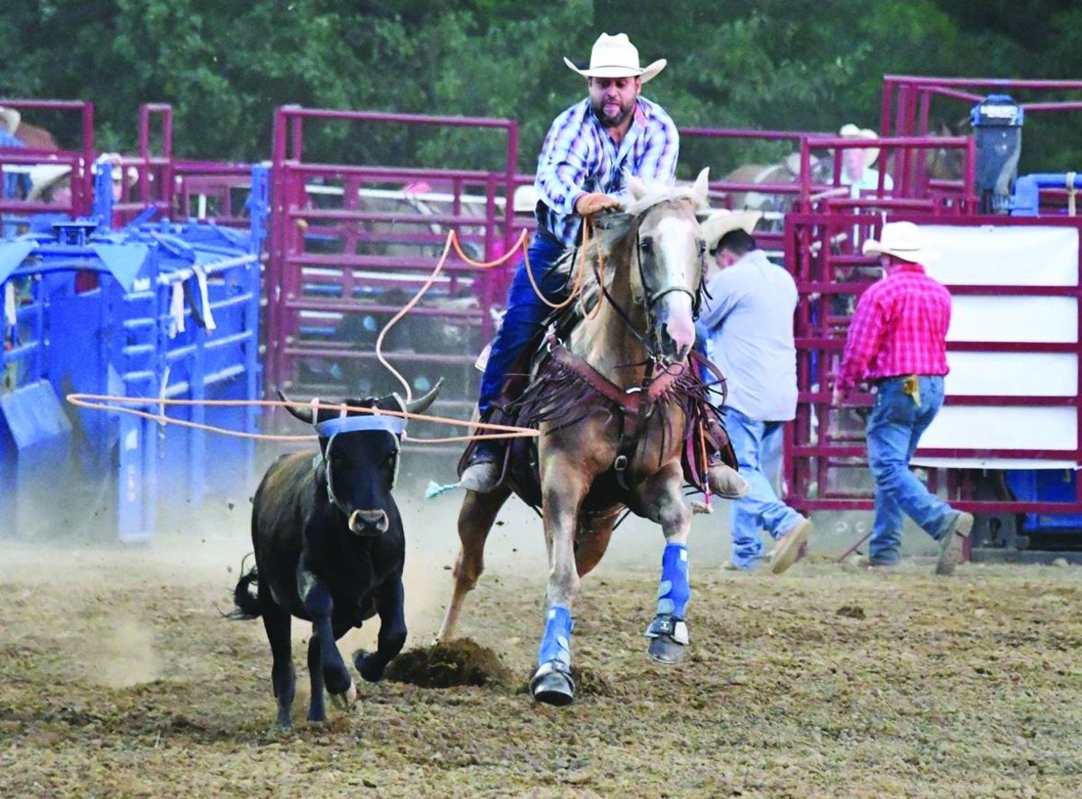 Logo Utr Rodeo Rodeo Rides Into Holden This Friday, Saturday – The Holden Image