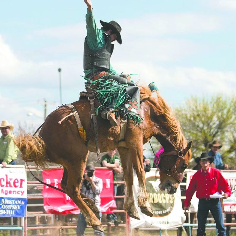 Rodeo artwork