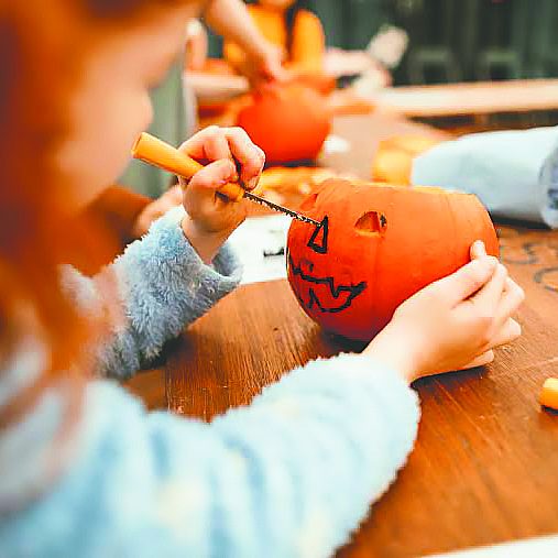 pumpkin image