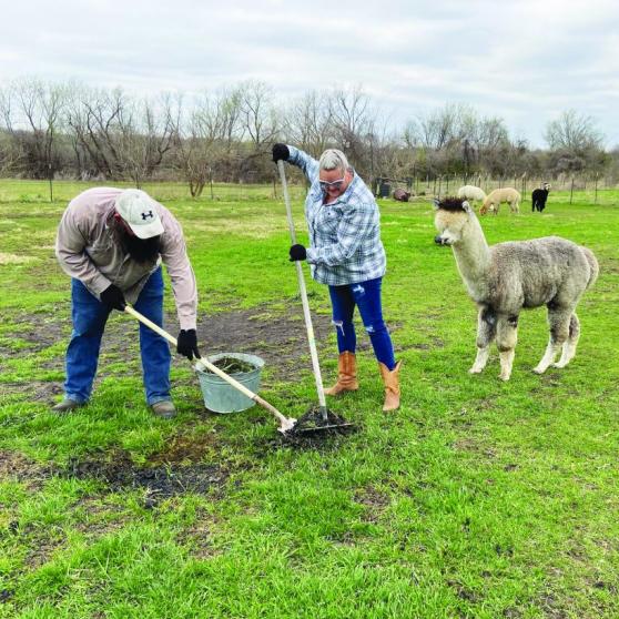Quarantine farm work... 
