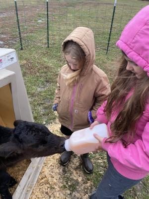 Farm time fun - and work!