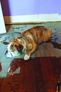 Sally’s way of helping!...